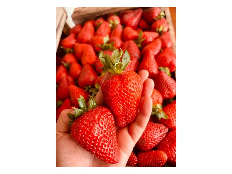 Frutillas x 2 kg — Foto 2