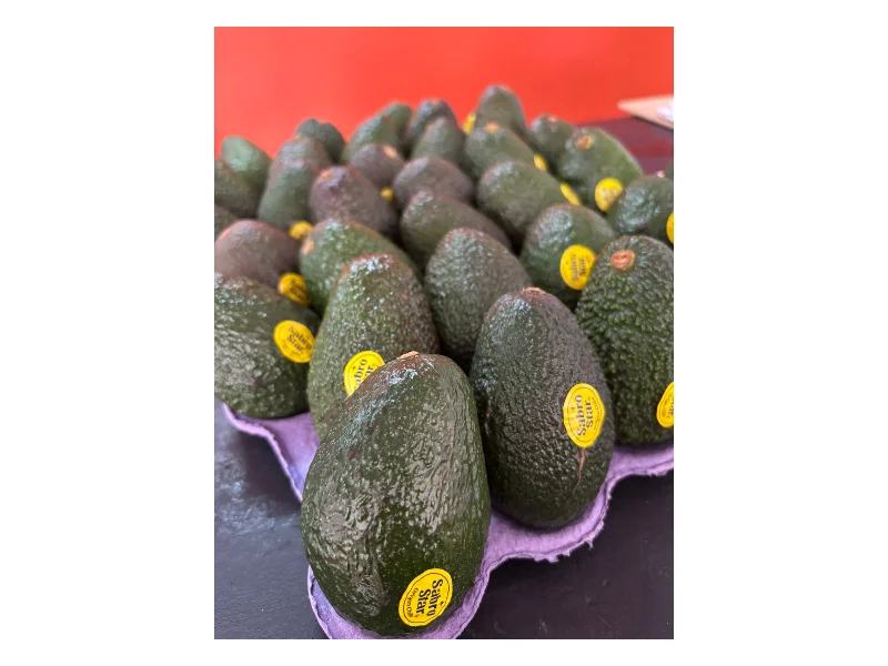Palta chilena x 2 unidades — Foto 2